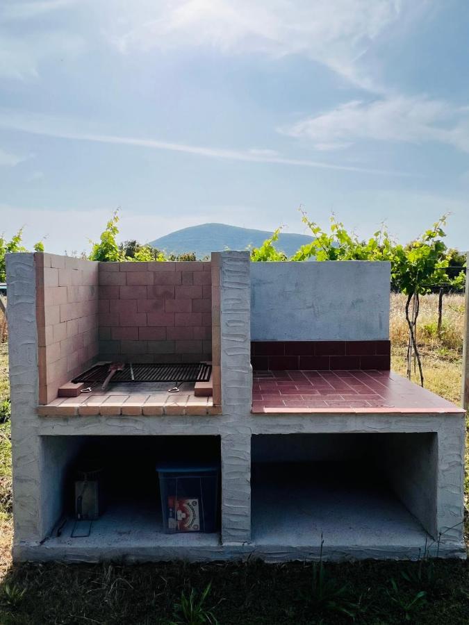 Agriturismo Graziano E Barbara Порто-Конте Экстерьер фото